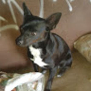 Meet your Posher, Mathew